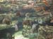 thumbnail054
